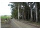 711 Nubeena Back Road, Koonya TAS 7187