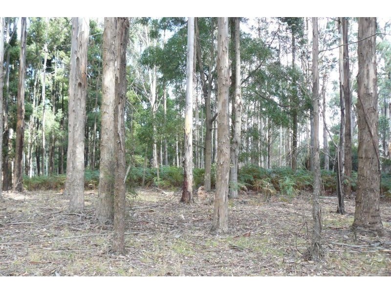 711 Nubeena Back Road, Koonya TAS 7187