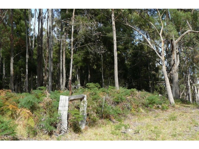 711 Nubeena Back Road, Koonya TAS 7187