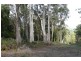 711 Nubeena Back Road, Koonya TAS 7187