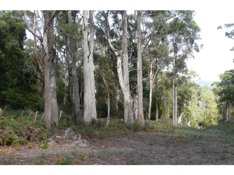 711 Nubeena Back Road, Koonya TAS 7187