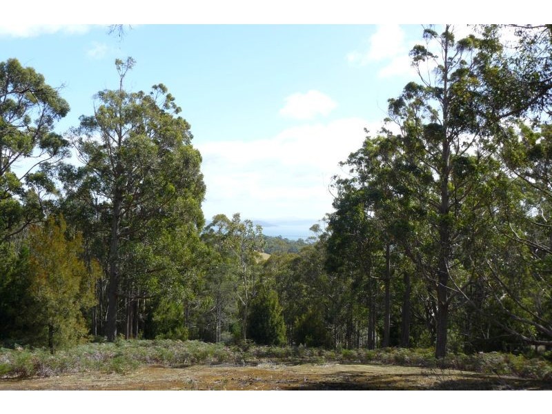 711 Nubeena Back Road, Koonya TAS 7187