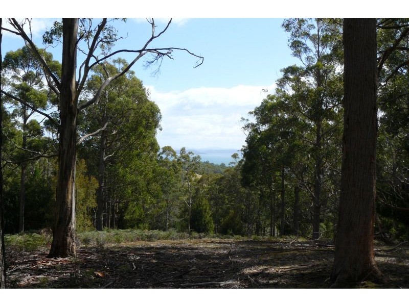 711 Nubeena Back Road, Koonya TAS 7187