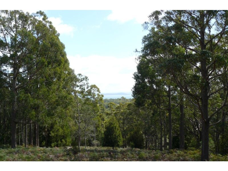 711 Nubeena Back Road, Koonya TAS 7187