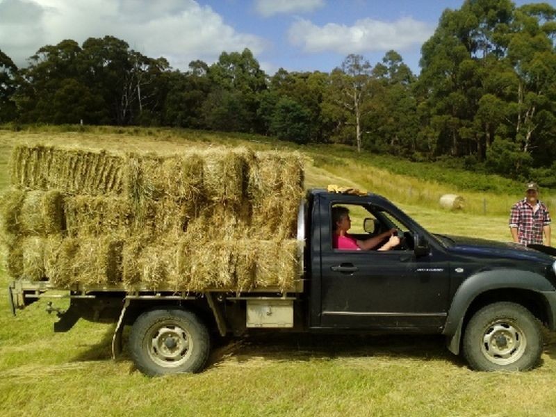 375 Nubeena Back Road, Nubeena TAS 7184