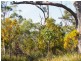 120 Roaring Beach Road, Nubeena TAS 7184