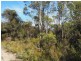 120 Roaring Beach Road, Nubeena TAS 7184