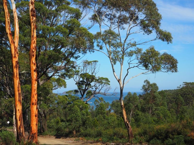 120 Roaring Beach Road, Nubeena TAS 7184