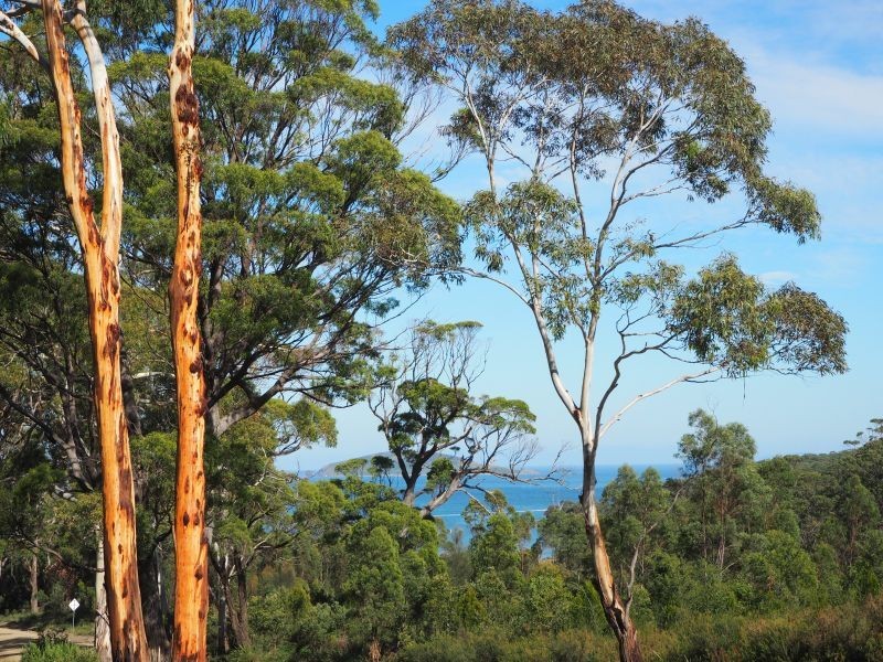 120 Roaring Beach Road, Nubeena TAS 7184
