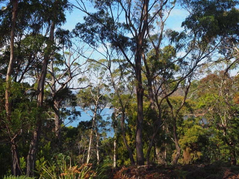 120 Roaring Beach Road, Nubeena TAS 7184