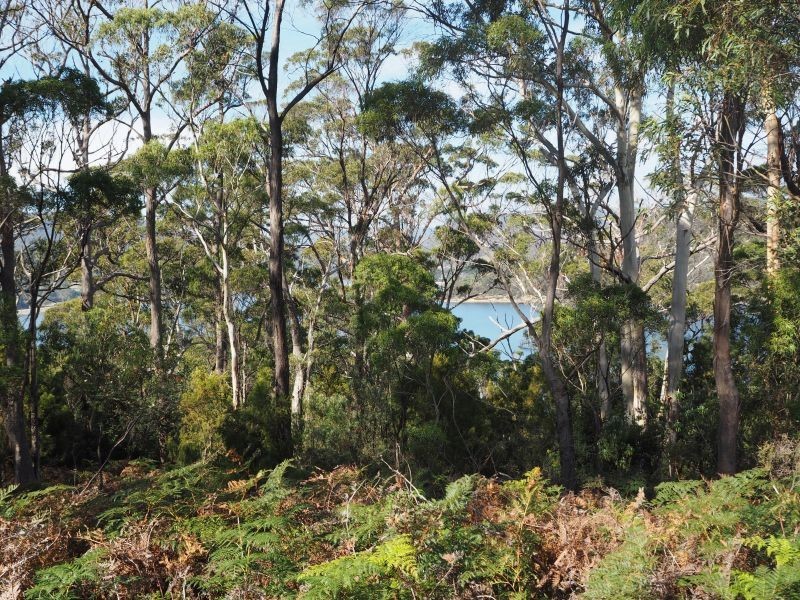 120 Roaring Beach Road, Nubeena TAS 7184