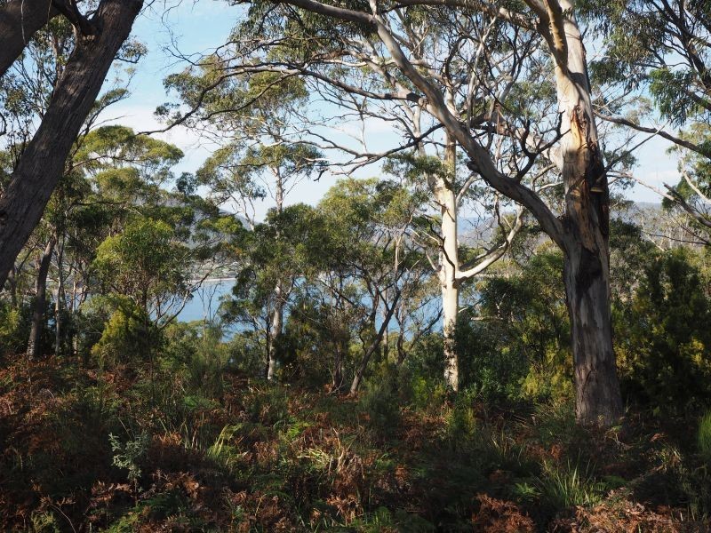 120 Roaring Beach Road, Nubeena TAS 7184
