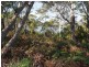 120 Roaring Beach Road, Nubeena TAS 7184