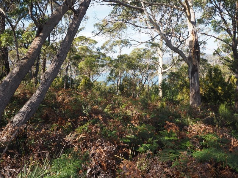 120 Roaring Beach Road, Nubeena TAS 7184
