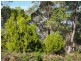 120 Roaring Beach Road, Nubeena TAS 7184