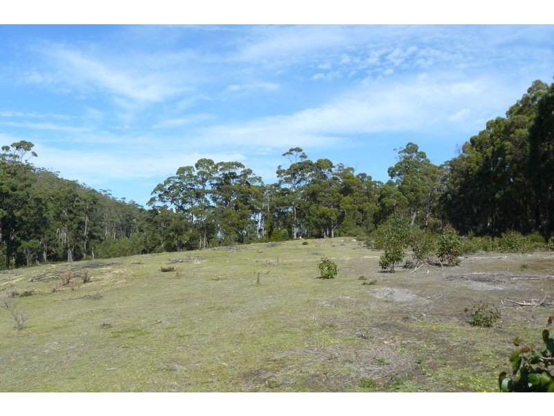 550 Hurdle Road, Saltwater River TAS 7186