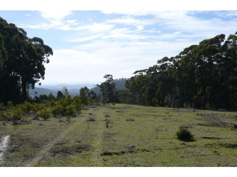 550 Hurdle Road, Saltwater River TAS 7186