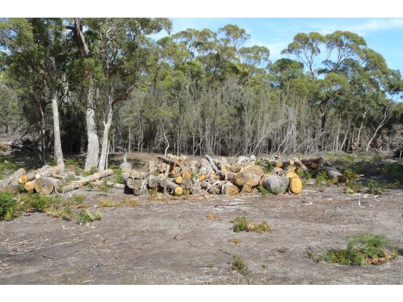 550 Hurdle Road, Saltwater River TAS 7186