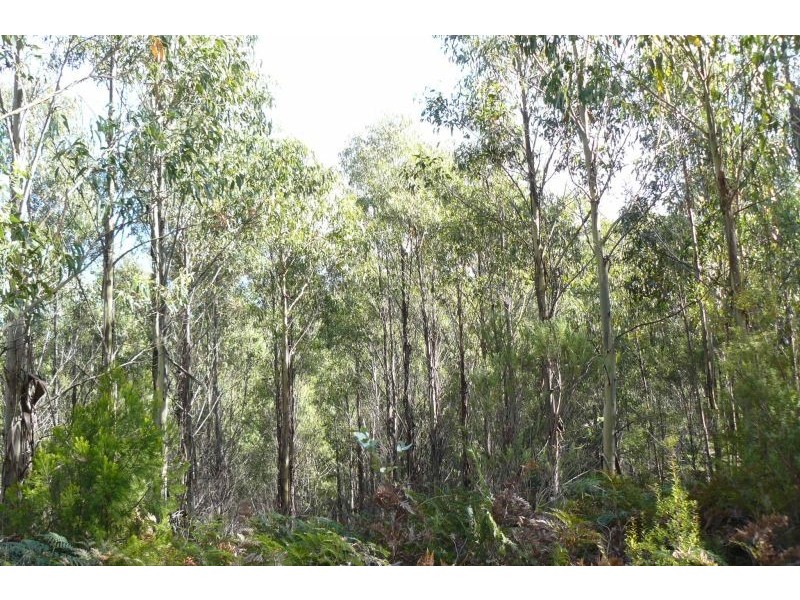 550 Hurdle Road, Saltwater River TAS 7186