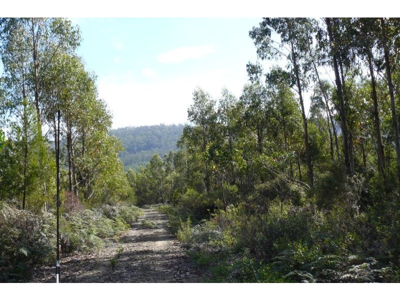 550 Hurdle Road, Saltwater River TAS 7186