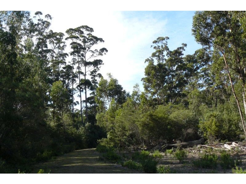 550 Hurdle Road, Saltwater River TAS 7186