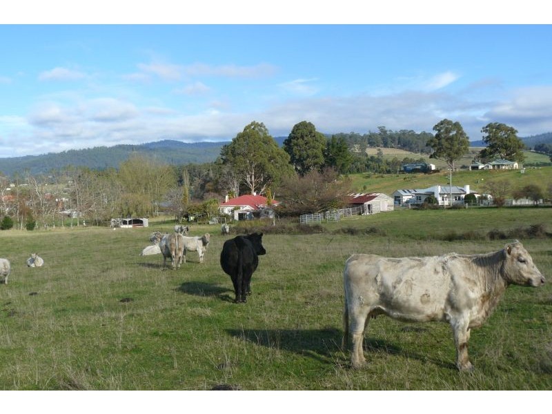 48 Fourfoot Road, Geeveston TAS 7116