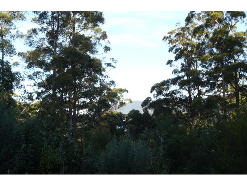 Lot 5 Lyndal Drive, Eaglehawk Neck TAS 7179