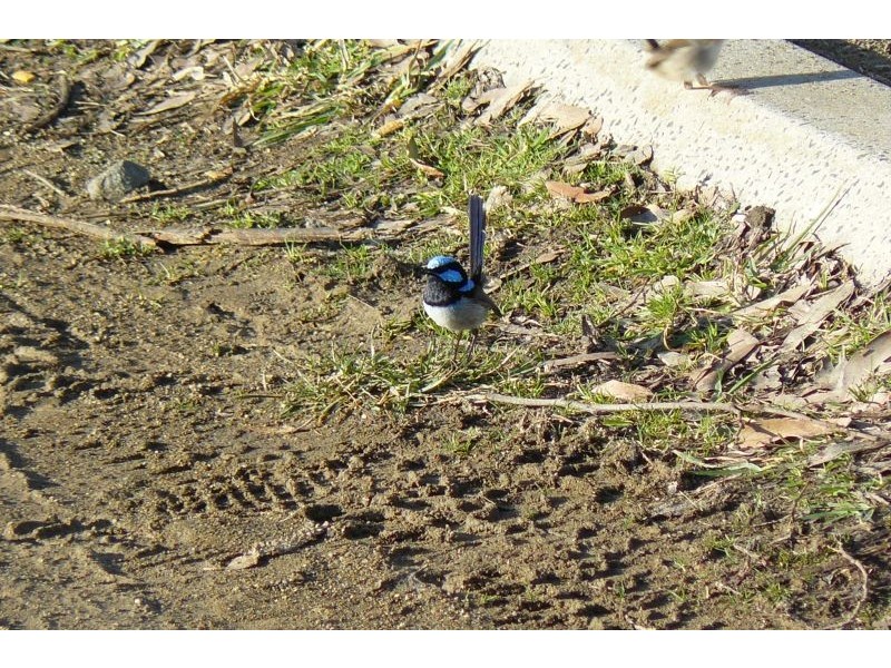 Lot 5 Lyndal Drive, Eaglehawk Neck TAS 7179