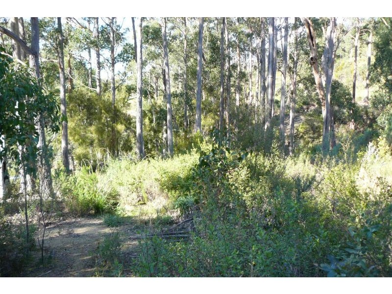 33 Waterfall Bay Road, Eaglehawk Neck TAS 7179