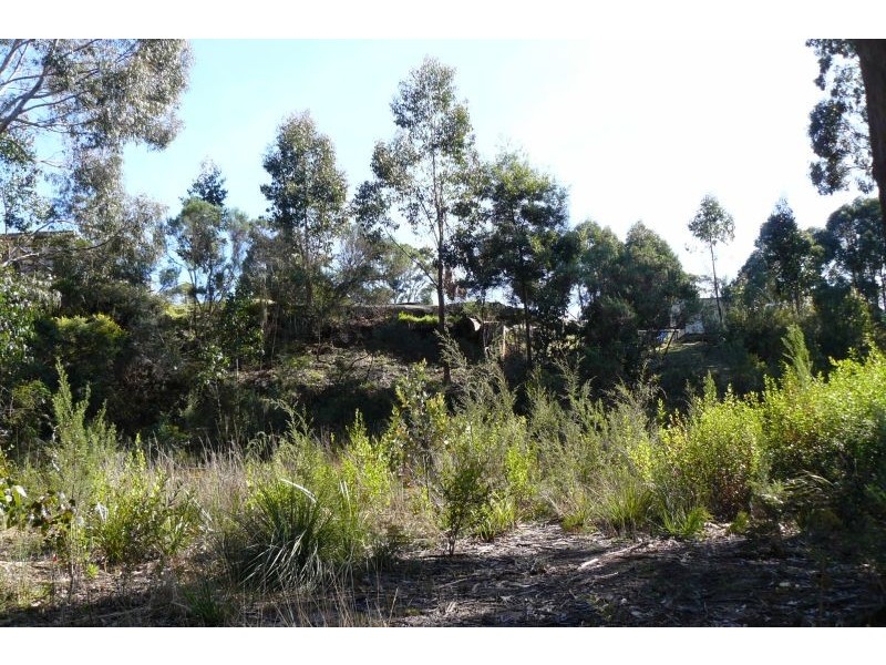 33 Waterfall Bay Road, Eaglehawk Neck TAS 7179