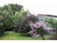 222 Pirates Bay Drive, Eaglehawk Neck TAS 7179