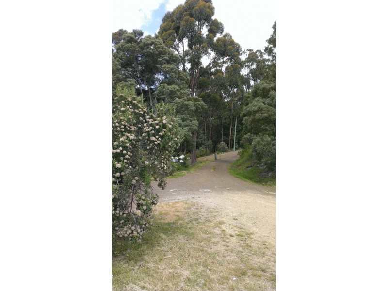 Eaglehawk Neck TAS 7179