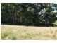 Lot 1 Wencks Road, Port Arthur TAS 7182