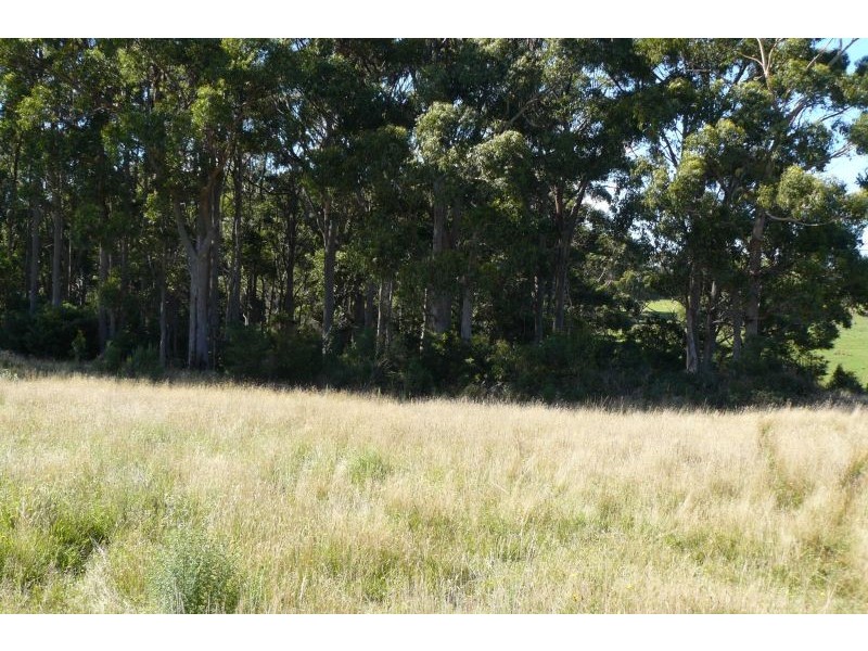 Lot 1 Wencks Road, Port Arthur TAS 7182