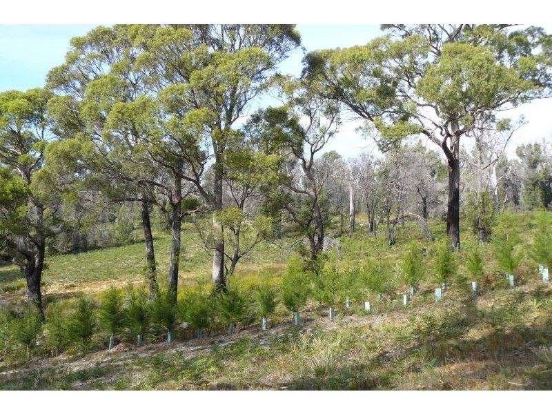 89 Hawker Street, Murdunna TAS 7178