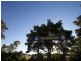 5 Elm Street, Rothwell QLD 4022