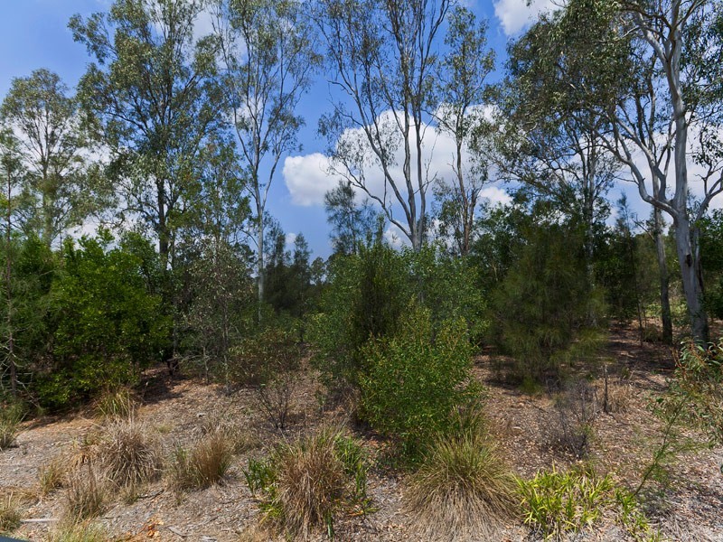 15 Highbridge Circuit, Carseldine QLD 4034