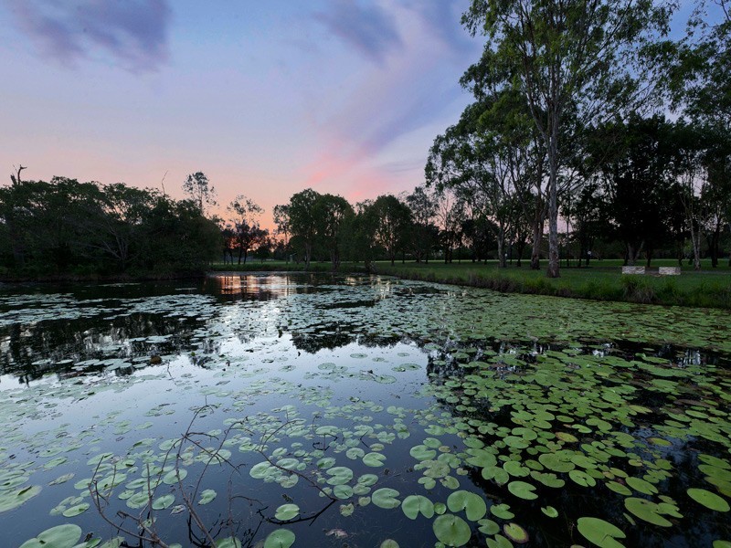 21 Rushworth Street, Bald Hills QLD 4036