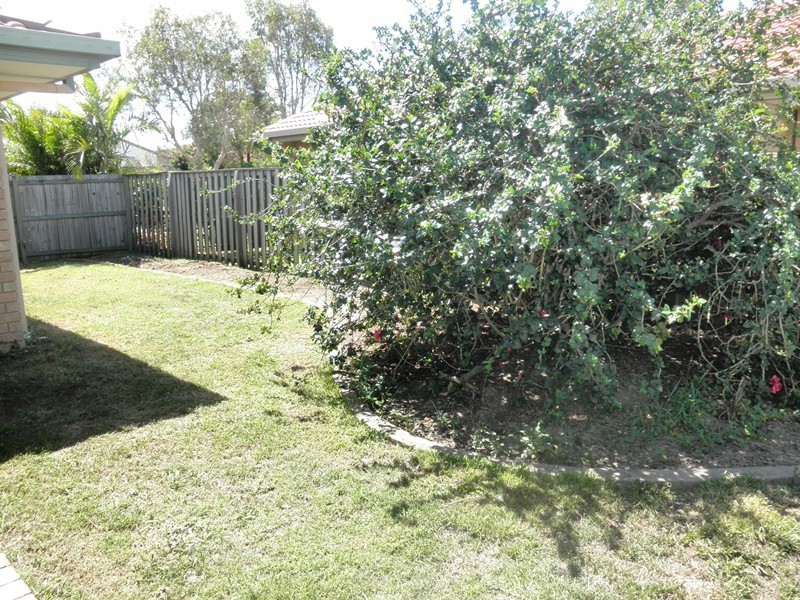 29 Rose Crescent, Fitzgibbon QLD 4018