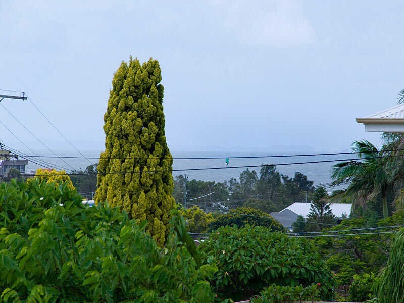 15 Neal Street, Brighton QLD 4017