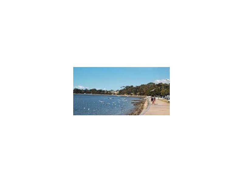 84 Griffith Street, Sandgate QLD 4017