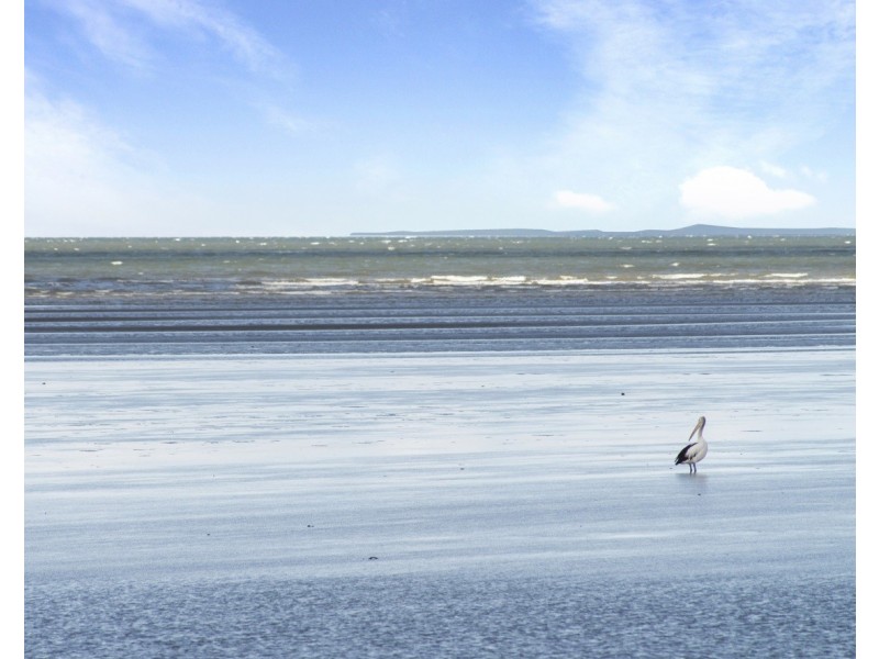 288 Flinders Parade, Sandgate QLD 4017