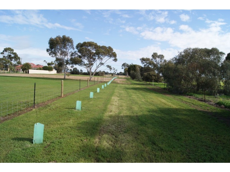 Lot 98 Cliff Road, Roseworthy SA 5371
