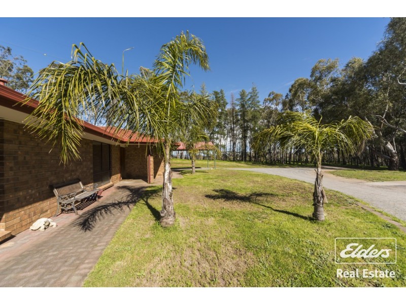 52 Gulfview Drive, One Tree Hill SA 5114
