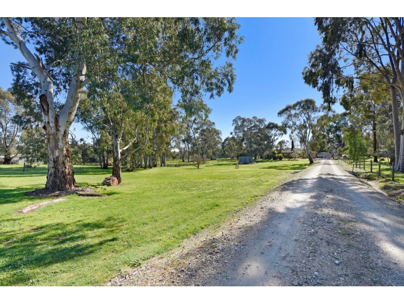 29 South Terrace, Williamstown SA 5351