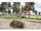 3 McCallum Road, Freeling SA 5372