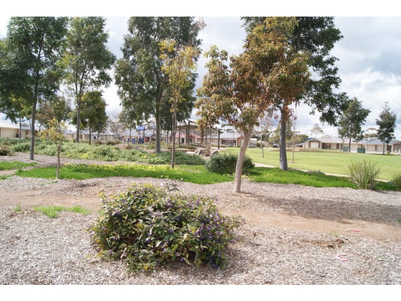 3 McCallum Road, Freeling SA 5372