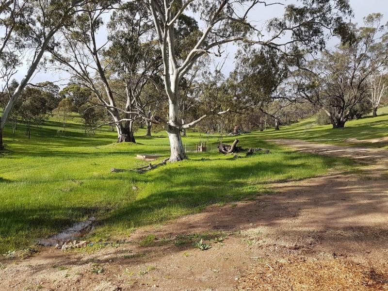 261 Woodlands Road, Cockatoo Valley SA 5351