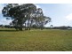 Lot 102 Williamstown Road, Cockatoo Valley SA 5351