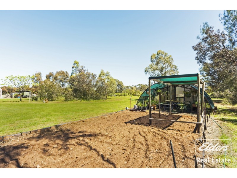 29 Barkley Drive, Gawler Belt SA 5118